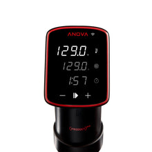 Load image into Gallery viewer, (ANOVA)ᴿᴱᴰ Precision® Cooker Pro (120V)