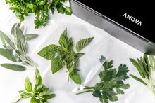 Load image into Gallery viewer, Anova Precision™ Chamber Vacuum Sealer Pouches

